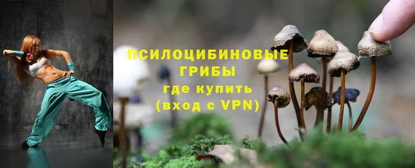 трава Аркадак