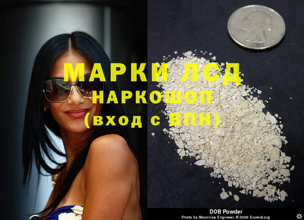 трава Аркадак