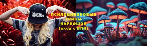 mdpv Арсеньев